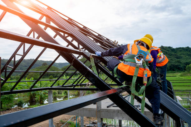 Best Roof Gutter Cleaning  in Maryvle, IL