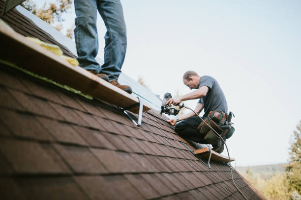 Roof Gutter Cleaning in Maryville, IL
